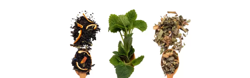 10 astuces originales pour utiliser vos sachets de thé usagés - Au Paradis  du Thé